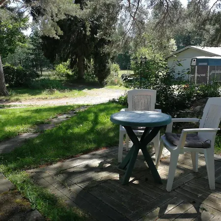 Noora Проживание в семье