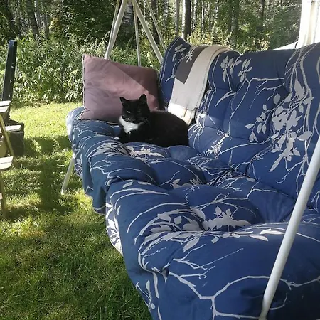 Проживание в семье Noora *