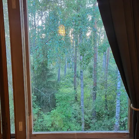 Проживание в семье Noora Пори