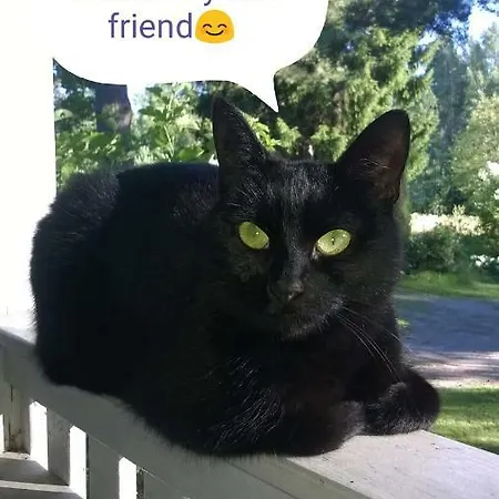 Проживание в семье Noora