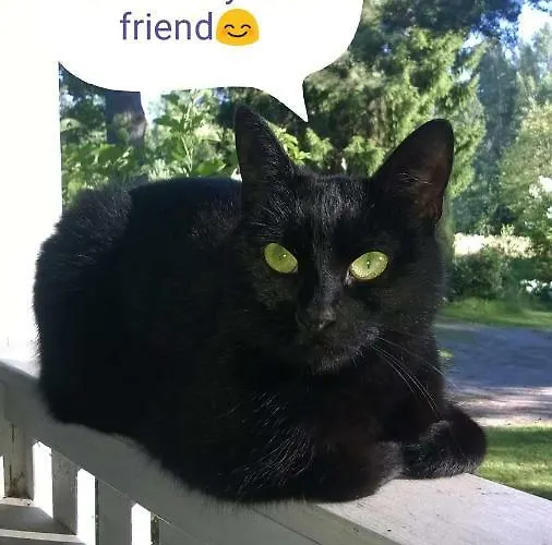 ホームステイ Noora