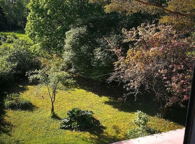 ホームステイ Noora